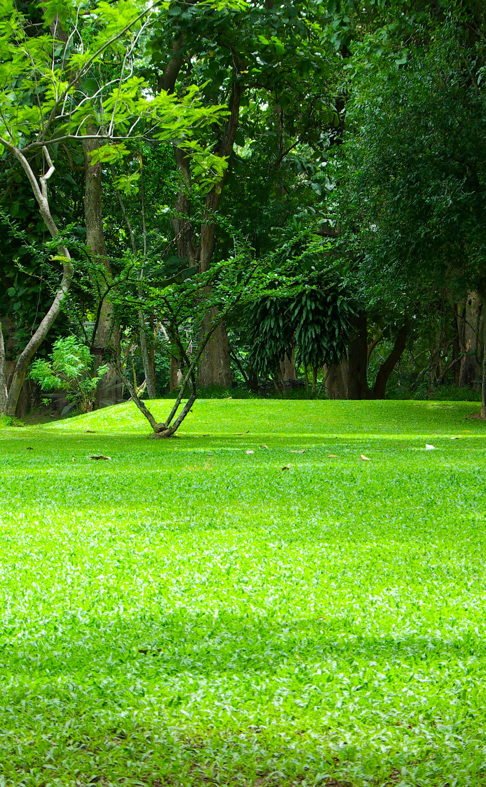 Fairchild Tropical Botanic Garden Opens Daily With Tram Access