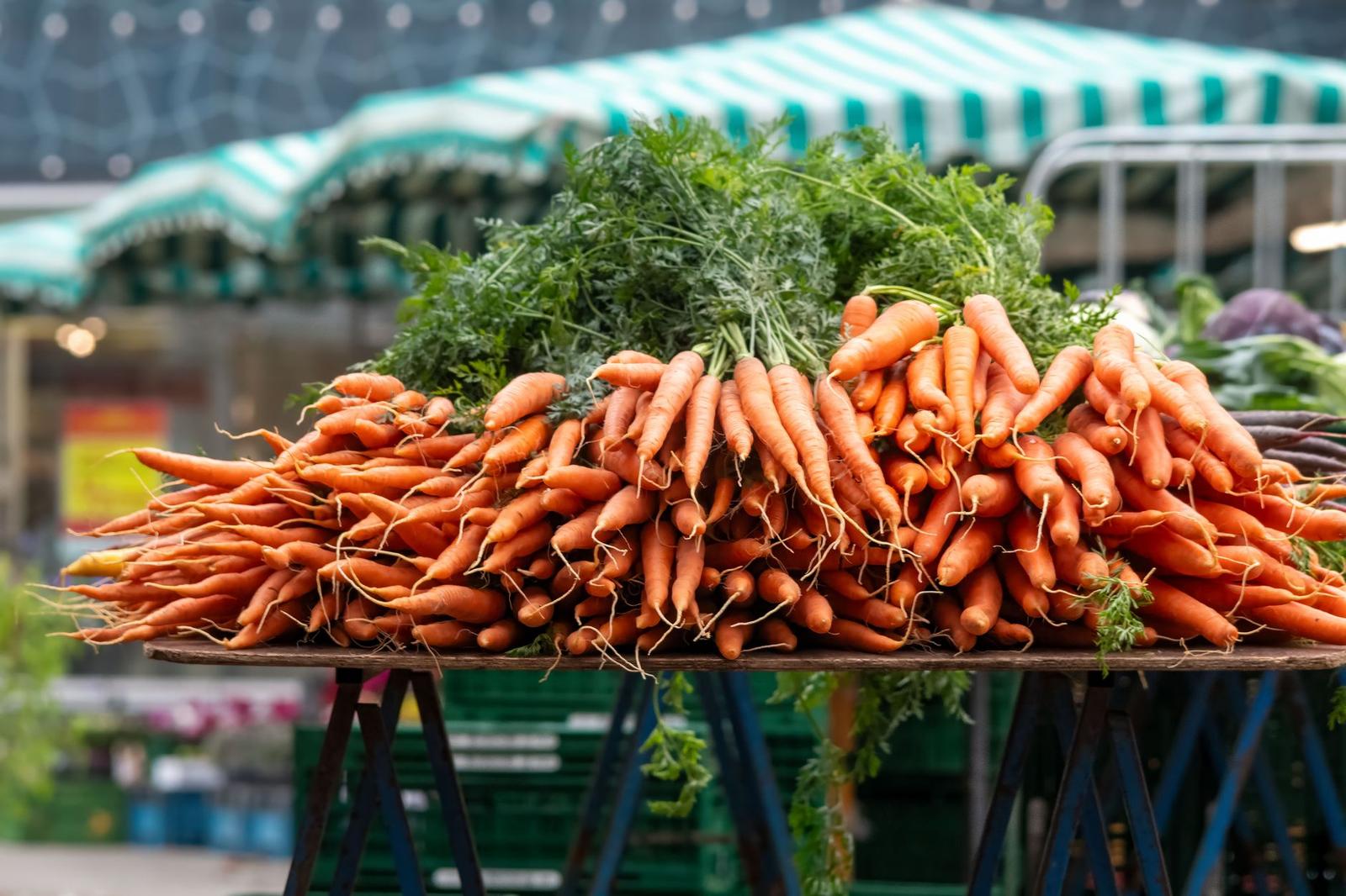 Protein Sources Beyond Meat: A Local Guide